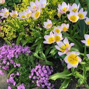 Meet your Posher, Madeleine